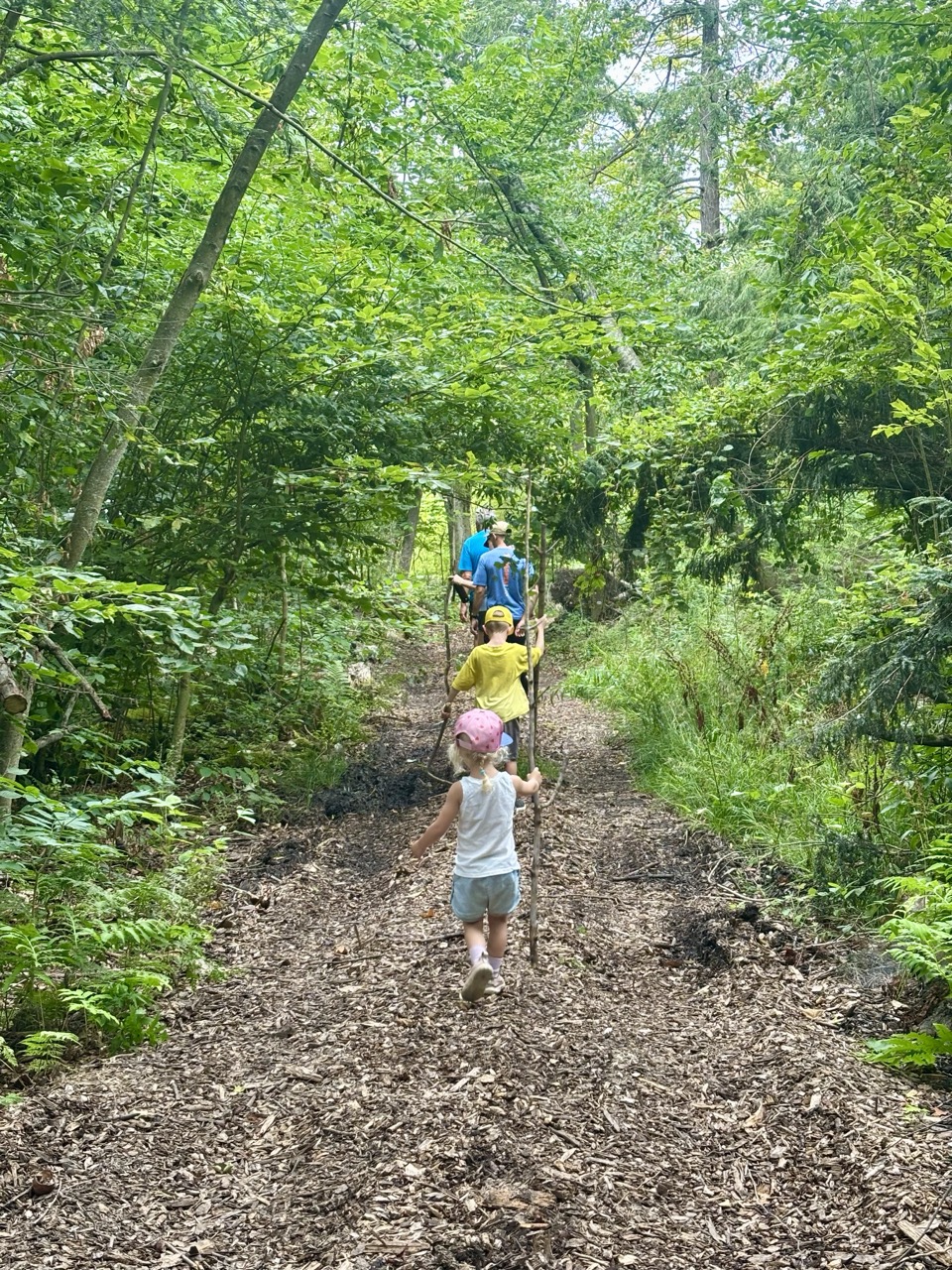 Kids with walking sticks leading a family hike along a wooded trail